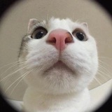 Telegram profile photo for канал без смысловой нагрузки