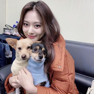 Telegram profile photo for 🐶The Kaya to my Butter🐶