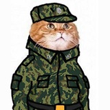 Telegram profile photo for Tactical Memes