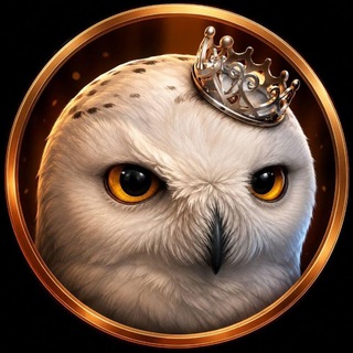 Telegram profile photo for СОВА на ФРИЛАНСЕ