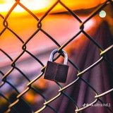 Telegram profile photo for ZIIDAAN TUBE