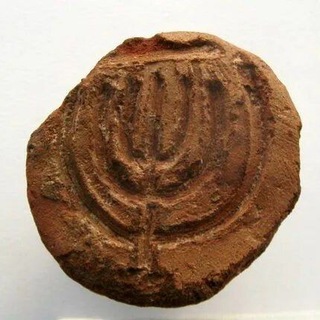 Telegram profile photo for זירה מדיה
