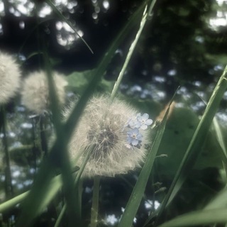 Telegram profile photo for 𝐓𝐫𝐮𝐬𝐭 your 𝐃𝐑𝐄𝐀𝐌‘‘