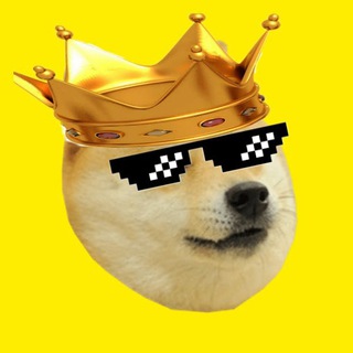 Telegram profile photo for King Doge π