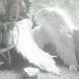 Telegram profile photo for ๐
'๐ ๐๐ฟ๐ฐ๐ต๐ถ๐๐ฒ๐