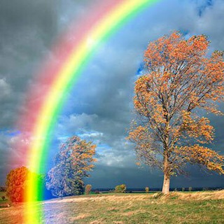 Telegram profile photo for 🌈قوس قزح🌈