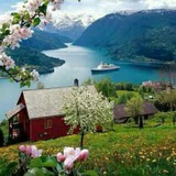 Telegram profile photo for کلبه آرامش