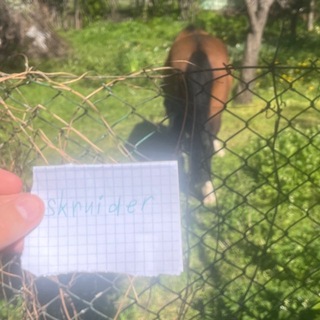 Telegram profile photo for Аул Скруйдера🥜🥜
