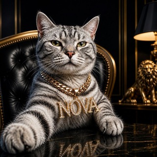 Telegram profile photo for Nova updates
