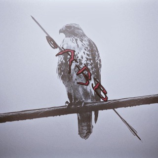 Telegram profile photo for list @arb