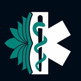 Telegram profile photo for Setareh hayat | ستاره حیات
