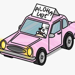 Telegram profile photo for Aloha Vet 🐕🐈⬛️