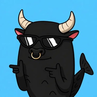 Telegram group profile photo for The BullFish CTO