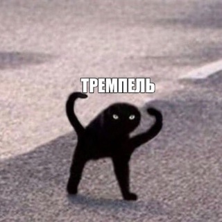 Telegram profile photo for Тремпель и чоботы