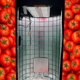 Telegram profile photo for GrowTube.ru