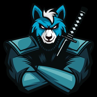 Telegram profile photo for Shibtoro News