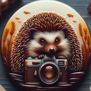 Telegram profile photo for 🦔 Ёж-охота 🦔