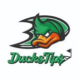 Telegram profile photo for DUCKS TIP$ - FREE