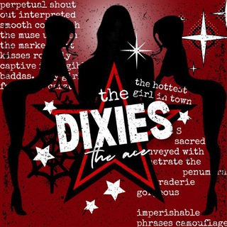 Telegram profile photo for DIXIES RANT
