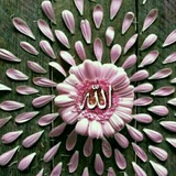 Telegram profile photo for ستاد نماز جمعه سوادکوه ، پل سفید