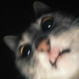 Telegram profile photo for Aurellllll