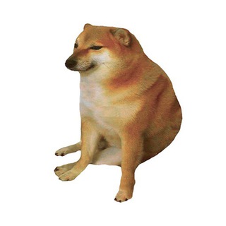 Telegram group profile photo for Shiba Daytrader Free Group