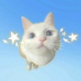 Telegram profile photo for 𝗦𝗰𝗮𝗿𝗦𝗰𝗮𝗿