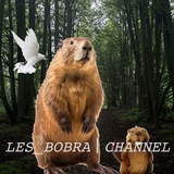 Telegram profile photo for 𝙻𝙴𝚂_𝙱𝙾𝙱𝚁𝙰 | 𝙲𝙷𝙰𝙽𝙽𝙴𝙻