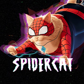 Telegram profile photo for Spider Cat