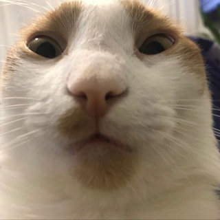 Telegram profile photo for ФАРР