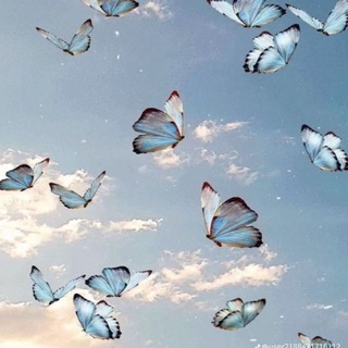 Telegram profile photo for ﮼الانسة ﮼سين🦋