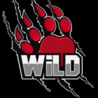 Telegram group profile photo for WildCommentsDx5