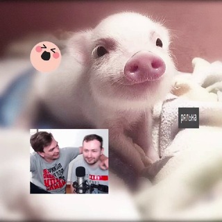 Telegram profile photo for архив работ/постов📄