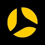 Telegram profile photo for Plikon бизнес-фотостудия