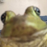 Telegram profile photo for канал юни