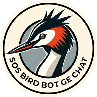 Telegram group profile photo for Птицы в мазуте, Грузия, Батуми