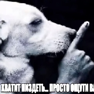 Telegram profile photo for Баланс черного