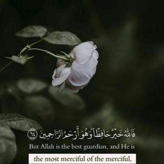 Telegram profile photo for مقاطع فيديو قرآنية