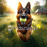 Telegram profile photo for German base🐕