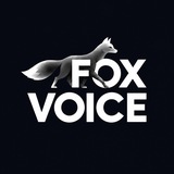 Telegram profile photo for FOX VOICE STUDIO