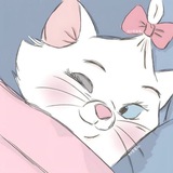 Telegram profile photo for Bignom @Ncdoro