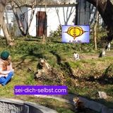 Telegram profile photo for Sei Dich Selbst