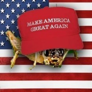 Telegram profile photo for Crickets From The Left