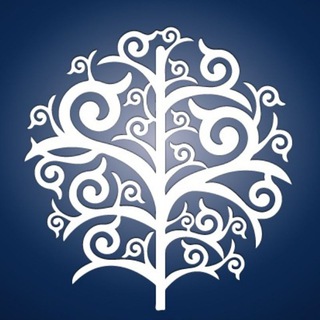 Telegram group profile photo for NIS Community