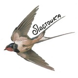 Telegram profile photo for Lastochka.Аrt