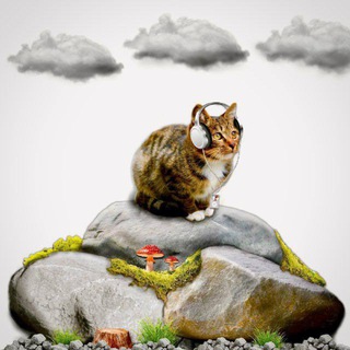 Telegram profile photo for 🗻 Бугор: Музыки | shop