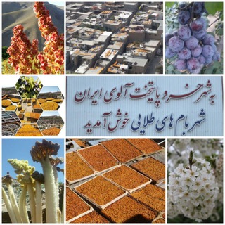 Telegram profile photo for کانال خبری شهربامهای طلایی