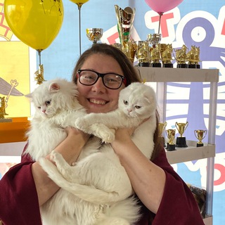 Telegram profile photo for Котик Лексус и Ко