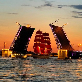Telegram profile photo for Питер лайв: Петербург 24/7