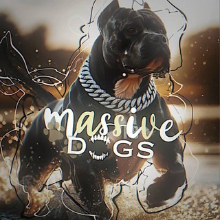 Telegram profile photo for massive dogs